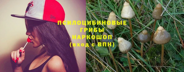 сатива Абдулино
