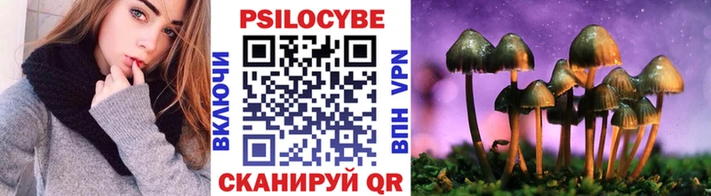Псилоцибиновые грибы прущие грибы  Чекалин 